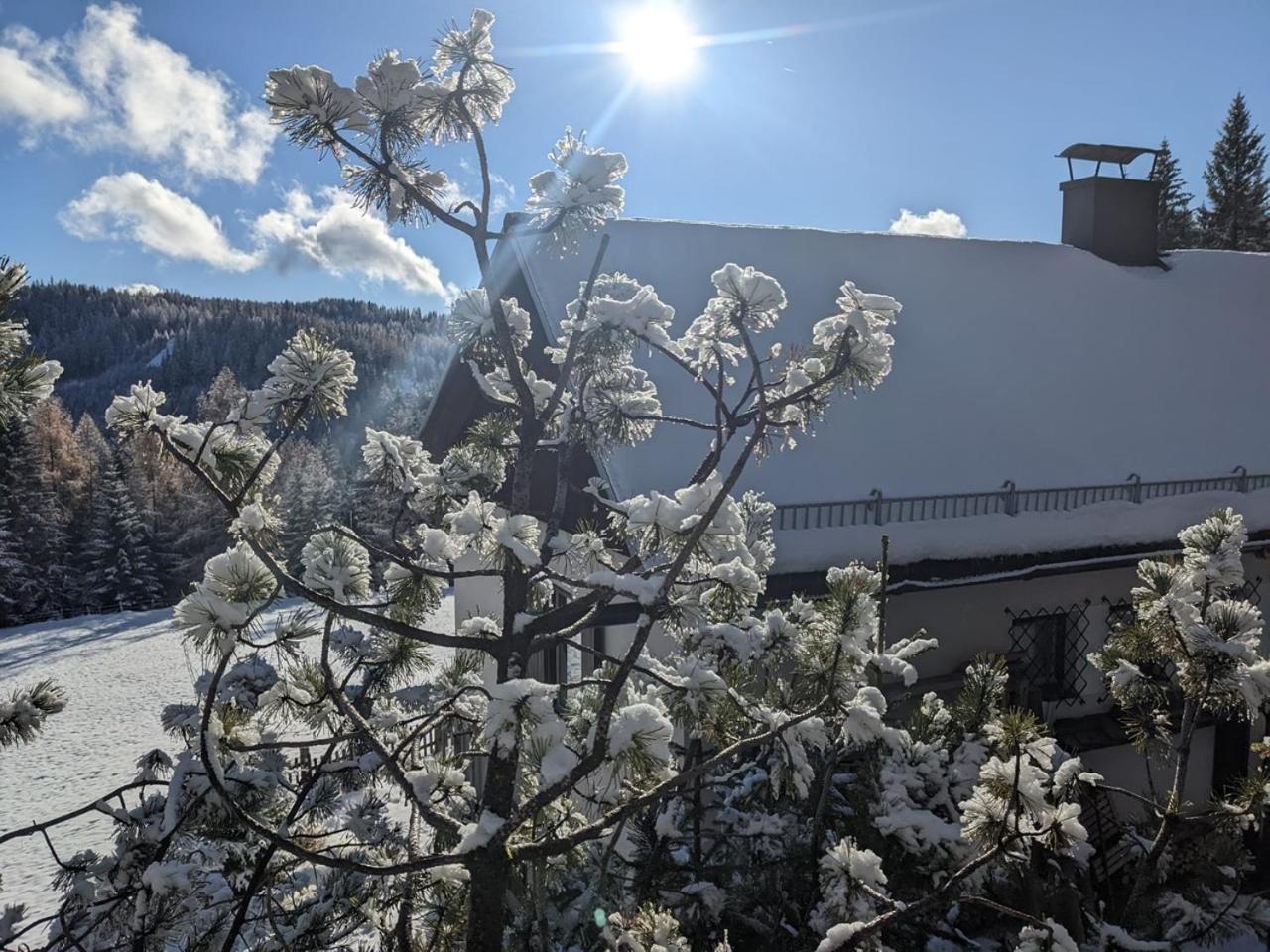 Lalo Alm - Berge Erleben Lachtal Exterior foto