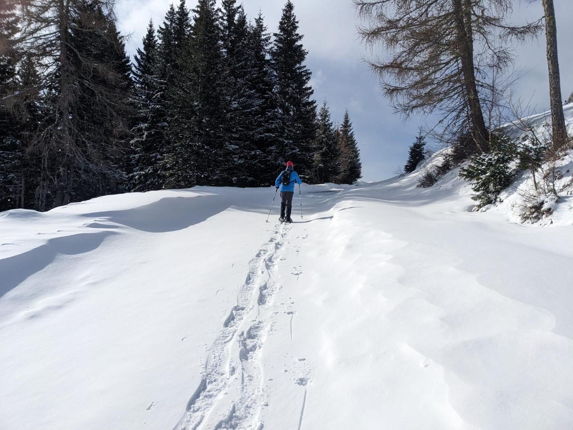 Lalo Alm - Berge Erleben Lachtal Exterior foto